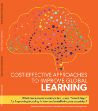Cost-effective Approaches to Improve Global Learning