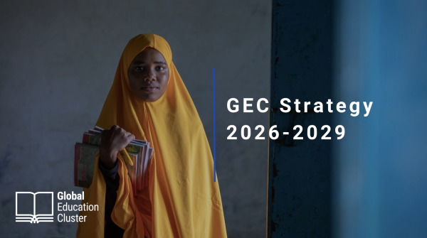 GEC Strategy Summary
