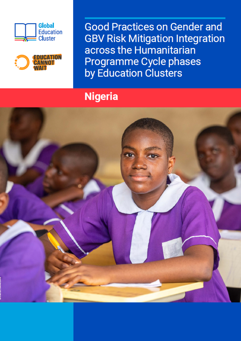 Gender Learning Brief Nigeria case study